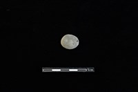 藏品(板岩片)的圖片